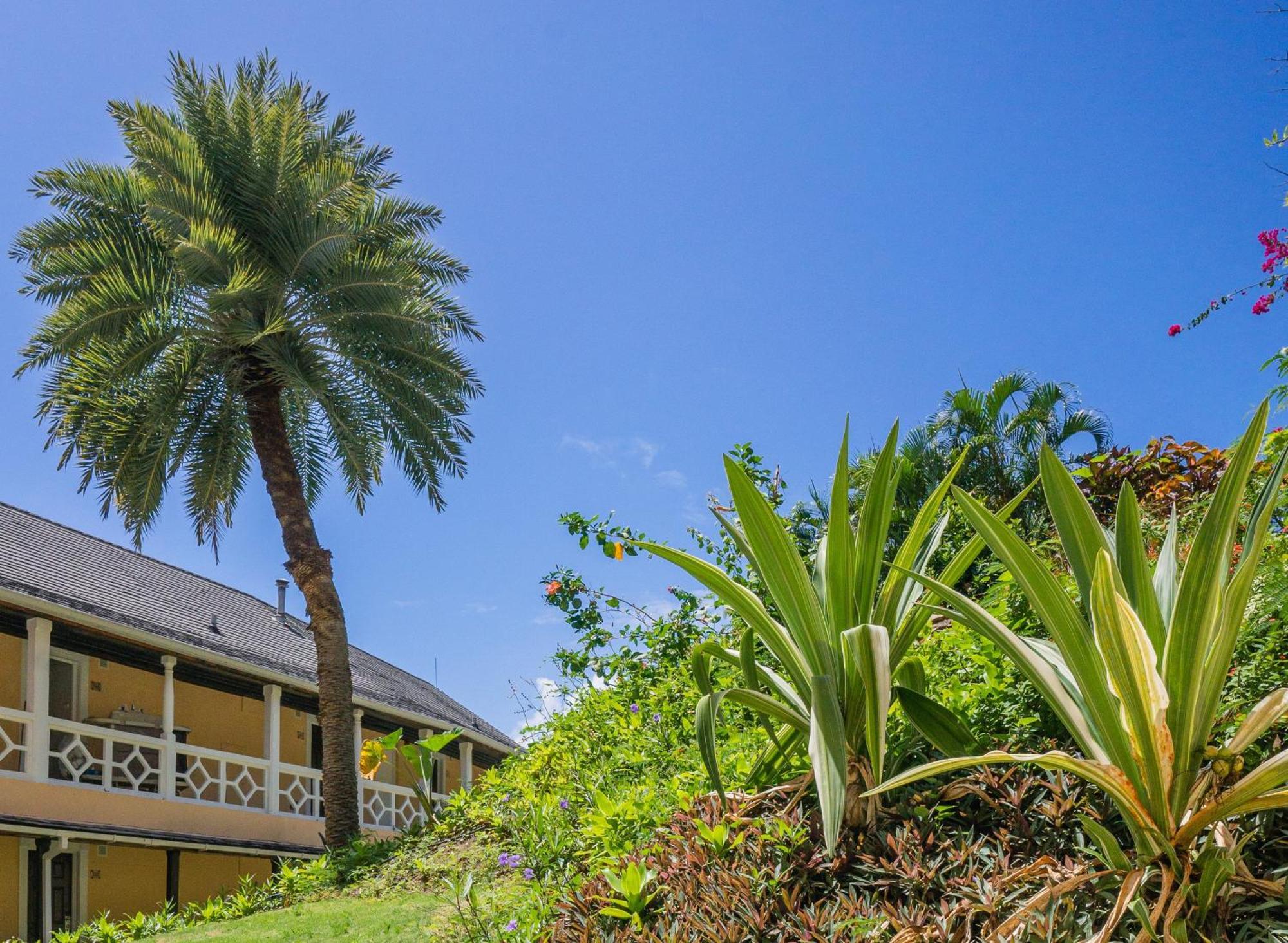 Bodyholiday St Lucia Gros Islet Bagian luar foto
